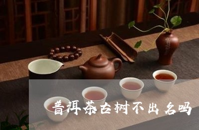 普洱茶古树不出名吗/2023071147139