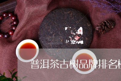 普洱茶古树品牌排名榜及价格/2023121636270