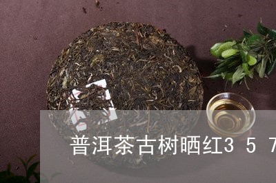 普洱茶古树晒红357g/2023082403948