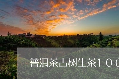 普洱茶古树生茶100克/2023110440592