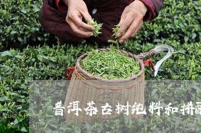 普洱茶古树纯料和拼配/2023072183050