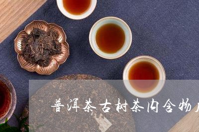 普洱茶古树茶内含物质/2023080351925