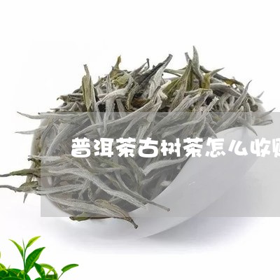 普洱茶古树茶怎么收购/2023101706157