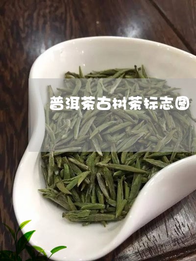 普洱茶古树茶标志图/2023121661703