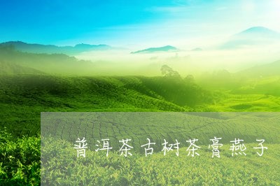 普洱茶古树茶膏燕子/2023100773936