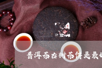 普洱茶古树茶饼是最好的吗/2023110296051