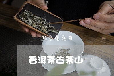 普洱茶古茶山/2023042920055