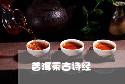 普洱茶古诗经/2023042795