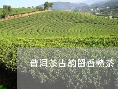 普洱茶古韵留香熟茶/2023120522793