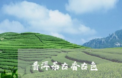 普洱茶古香古色/2023101603627