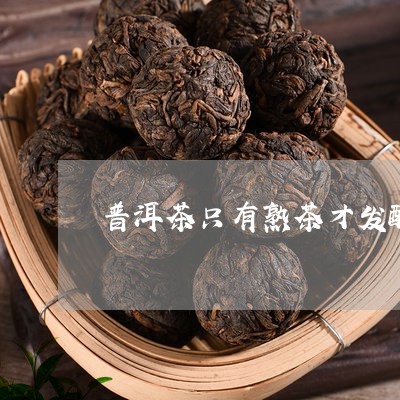 普洱茶只有熟茶才发酵/2023080302815