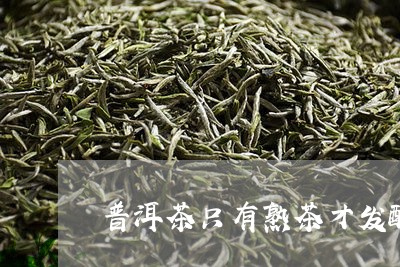 普洱茶只有熟茶才发酵/2023100864036