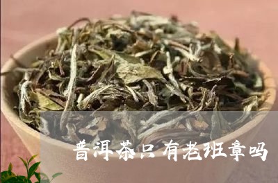 普洱茶只有老班章吗/2023071127171