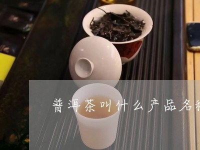 普洱茶叫什么产品名称好听/2023112557303