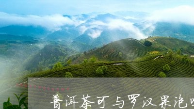 普洱茶可与罗汉果泡吗/2023092669594