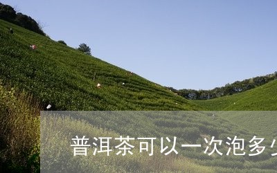 普洱茶可以一次泡多少杯/2023110447493