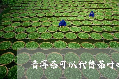 普洱茶可以代替茶叶吗/2023100809606