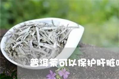 普洱茶可以保护肝脏吗/2023080262826