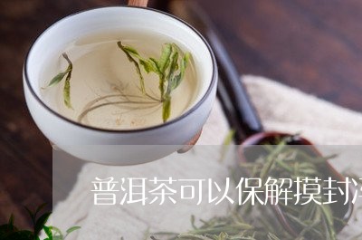 普洱茶可以保解摸封冯/2023093026936