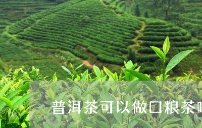 普洱茶可以做口粮茶吗/2023100837148