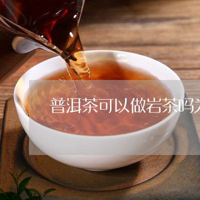 普洱茶可以做岩茶吗为什么/2023112572513