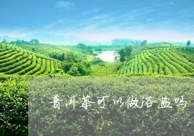 普洱茶可以做浴盐吗/2023071077360