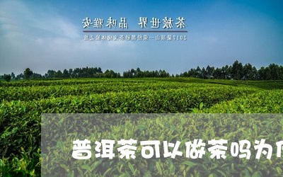 普洱茶可以做茶吗为什么/2023103130493