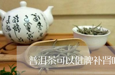 普洱茶可以健脾补肾吗/2023080164815