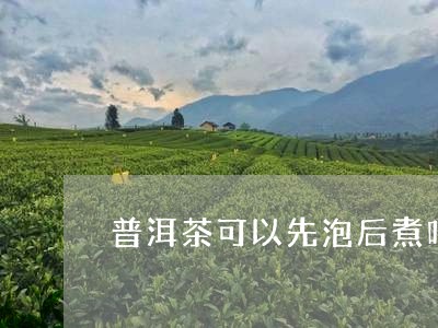 普洱茶可以先泡后煮吗/2023062270727