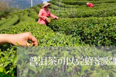 普洱茶可以兑蜂蜜喝嘛/2023061740362