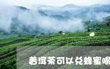 普洱茶可以兑蜂蜜喝嘛/2023092848614