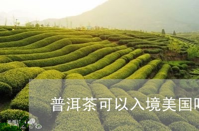 普洱茶可以入境美国吗/2023073120316