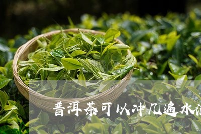 普洱茶可以冲几遍水泡茶/2023102472704