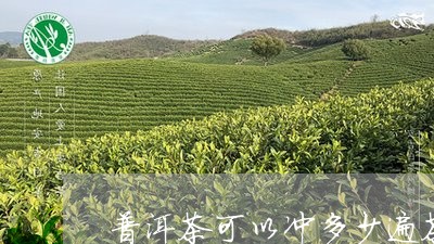 普洱茶可以冲多少遍茶叶水/2023110436848