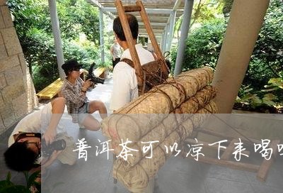 普洱茶可以凉下来喝吗/2023092803928