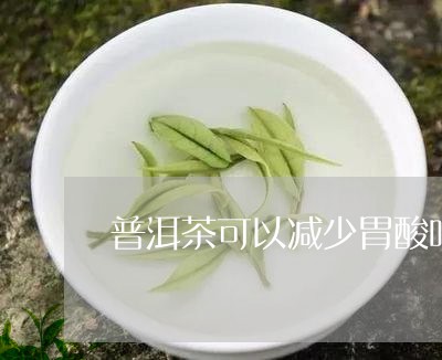 普洱茶可以减少胃酸吗/2023100517059