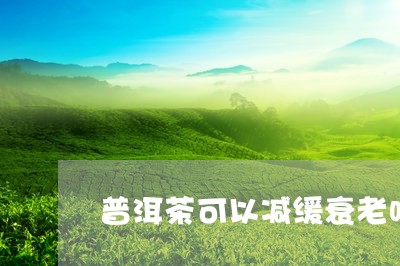 普洱茶可以减缓衰老吗/2023080127461