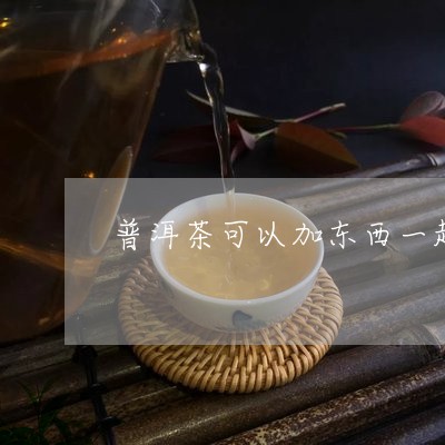 普洱茶可以加东西一起喝吗/2023051340727