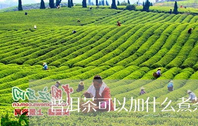 普洱茶可以加什么煮茶好喝/2023112469381