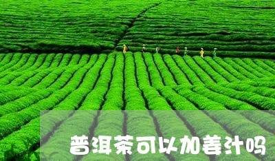 普洱茶可以加姜汁吗/2023120584826