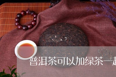 普洱茶可以加绿茶一起/2023093001596