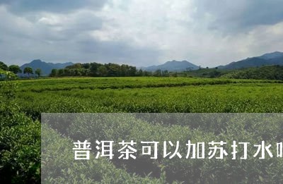 普洱茶可以加苏打水吗/2023072327340