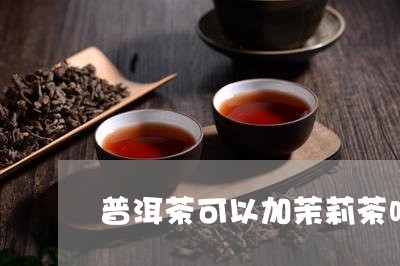 普洱茶可以加茉莉茶吗/2023100793947