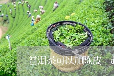 普洱茶可以加陈皮一起泡吗/2024010404725