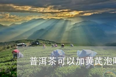 普洱茶可以加黄芪泡吗/2023092978402