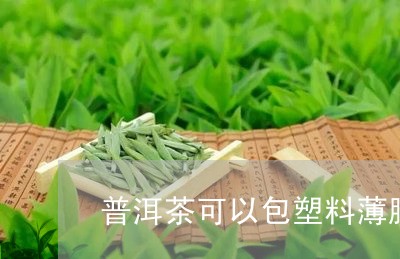 普洱茶可以包塑料薄膜吗/2023110318171