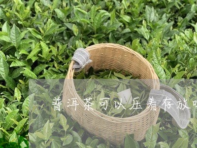 普洱茶可以压着存放吗/2023062849270