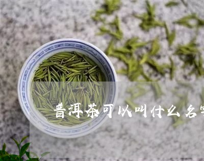 普洱茶可以叫什么名字/2023061914046