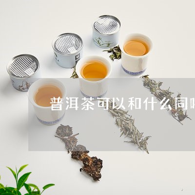 普洱茶可以和什么同喝/2023062866393