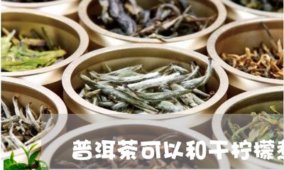 普洱茶可以和干柠檬煮吗/2023103148673